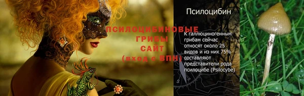 2c-b Армянск