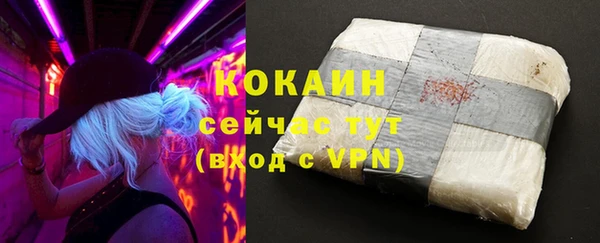индика Покров