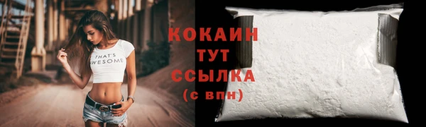 PSILOCYBIN Аркадак