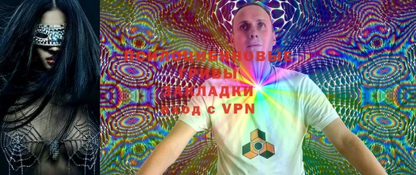 PSILOCYBIN Аркадак